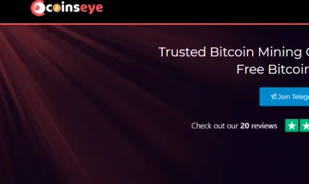 coinseye review