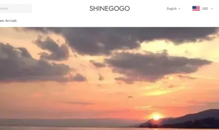 Shinegogo