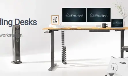 Flexispot Standing Desk