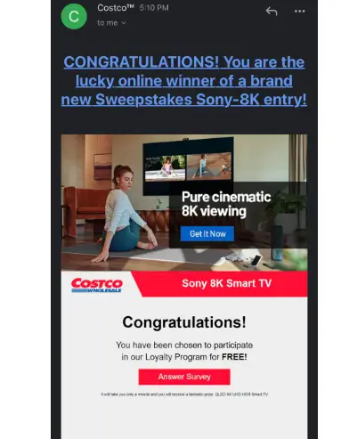 Costco 8K TV Scam