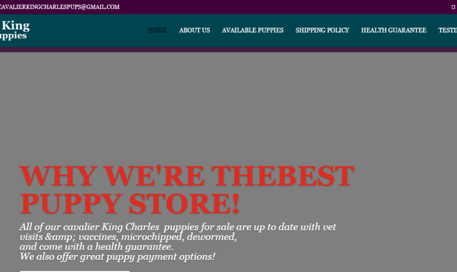 Landmodo Reviews 2022 Scam Or Legit? Find Out!