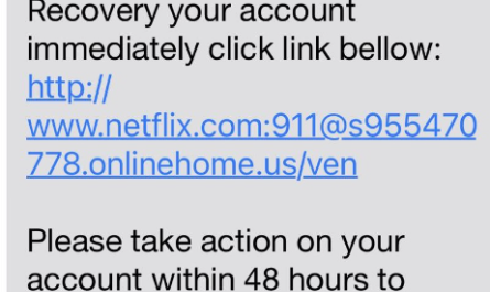 Netflix Scam Text