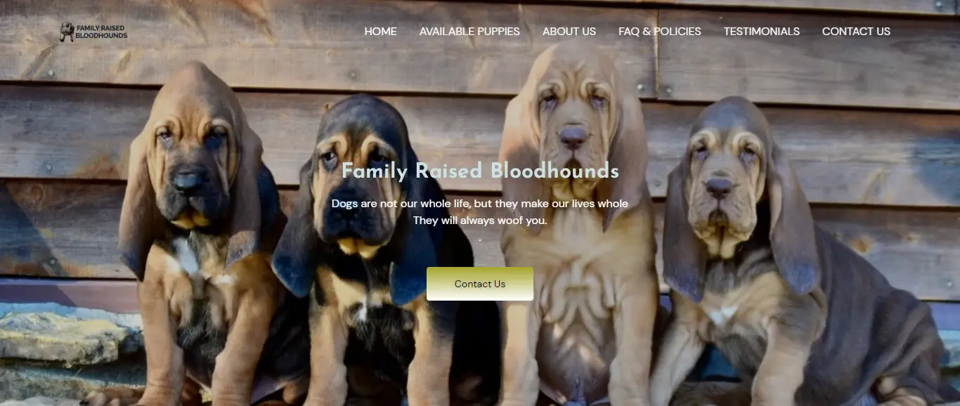Familyraisedbloodhounds