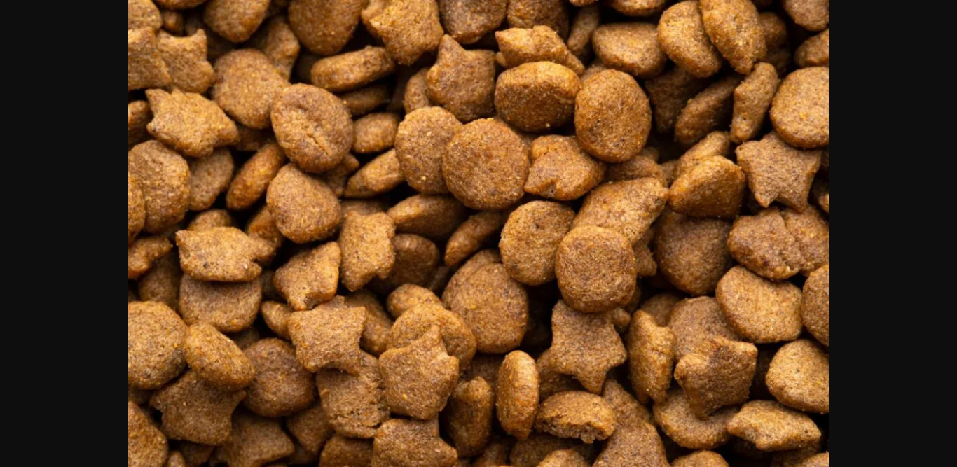 Midwestern Pet Foods aflatoxin, salmonella contamination 6.375M class