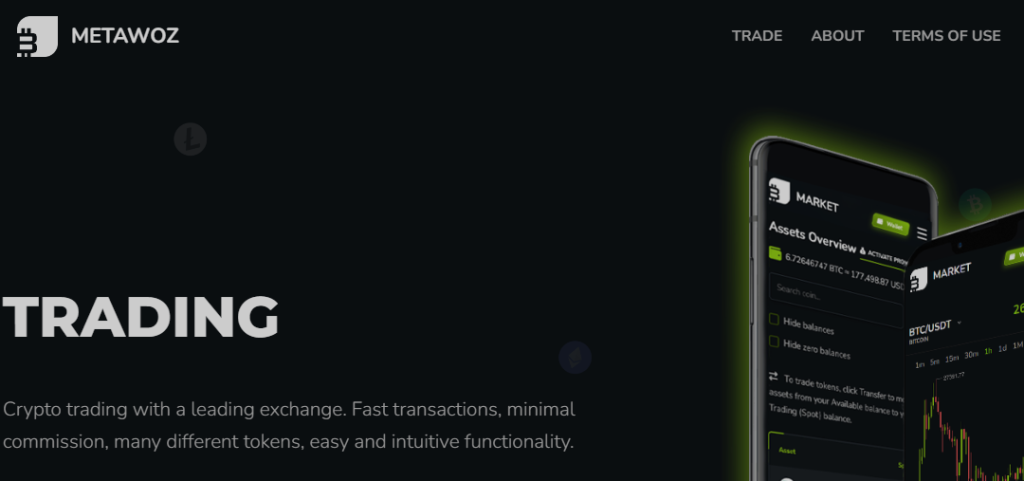 Metawoz.com Homepage