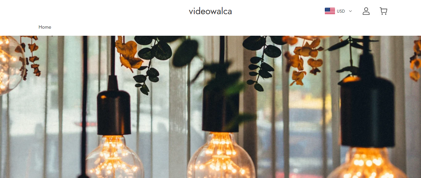 Videowalca