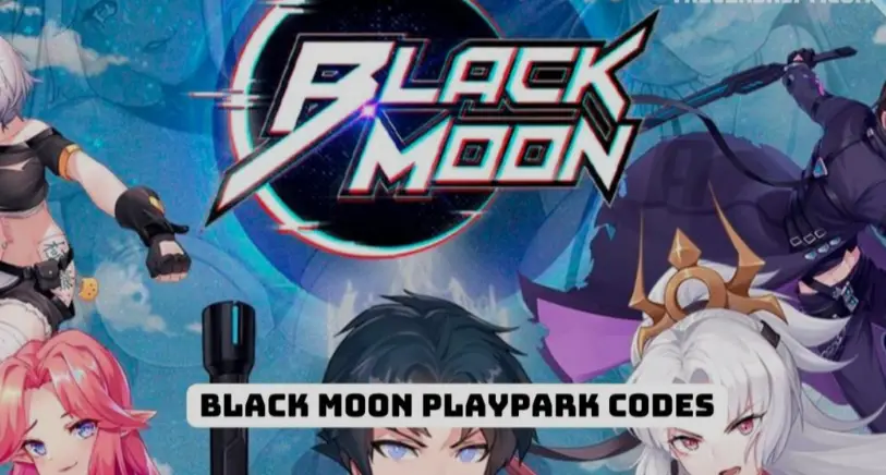 Black Moon Playpark Codes