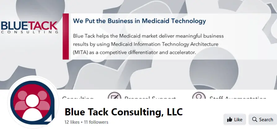 Blue Tack Consulting