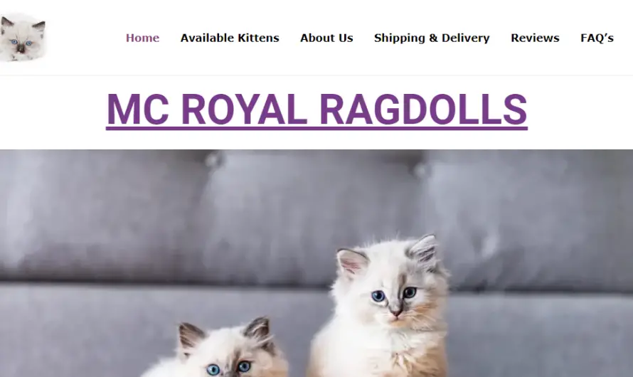 Is Mcroyalragdolls.com A Scam Or Legit Kitten Store? Find Out!