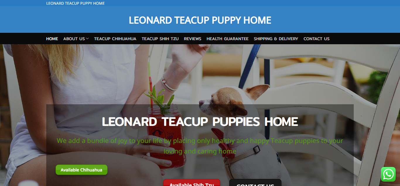 Leonardminiaturepuppyfamily