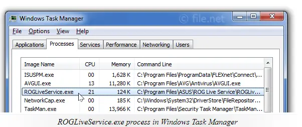 ROGLiveService.exe