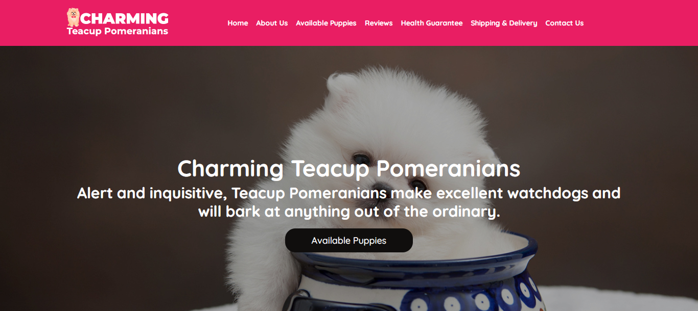 Charmingteacuppomeranians